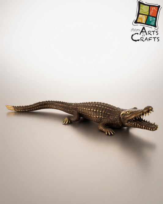 Bronze Brown Golden Alligator