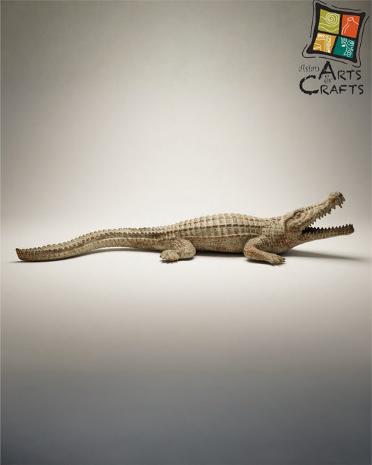 Brown Antique Finishing Alligator
