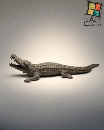 Brown Antique Finishing Alligator